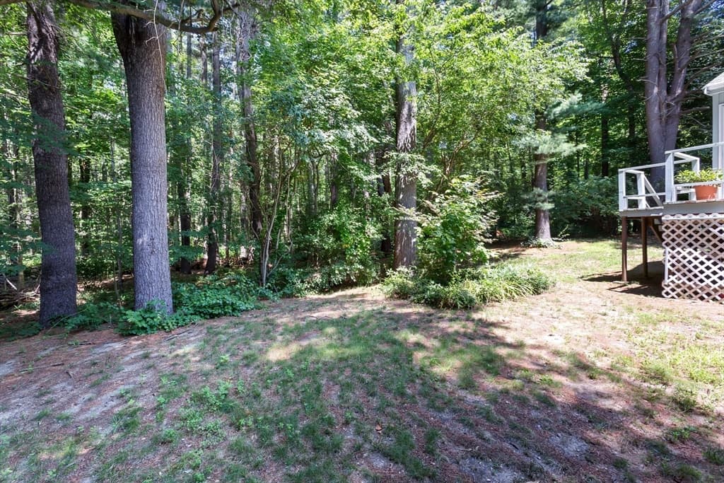 170 David Rd, Franklin MA 02038 photo 41