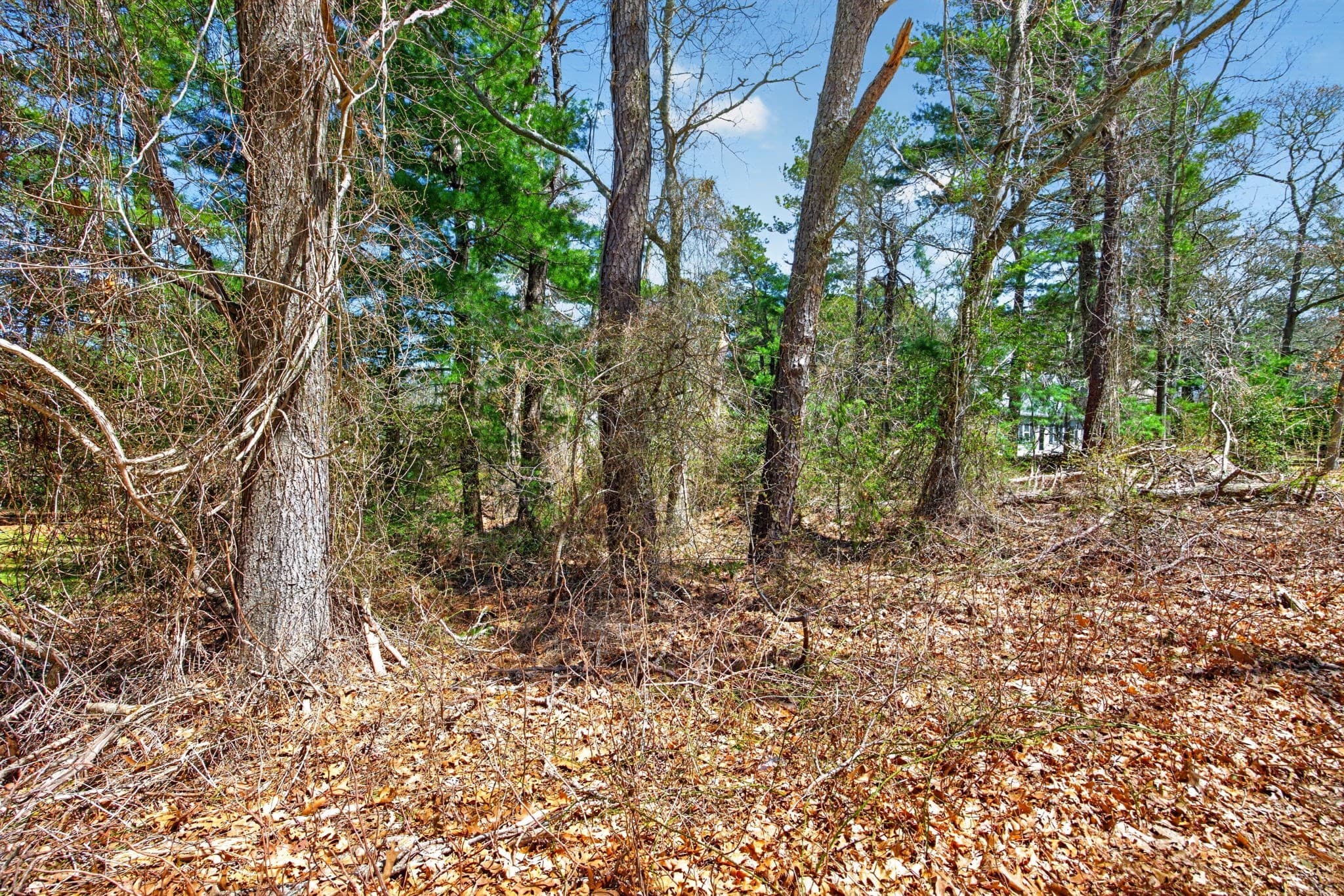 Residential at 3 Lakeview Drive, Sandwich MA 02563, photo 6 of 7