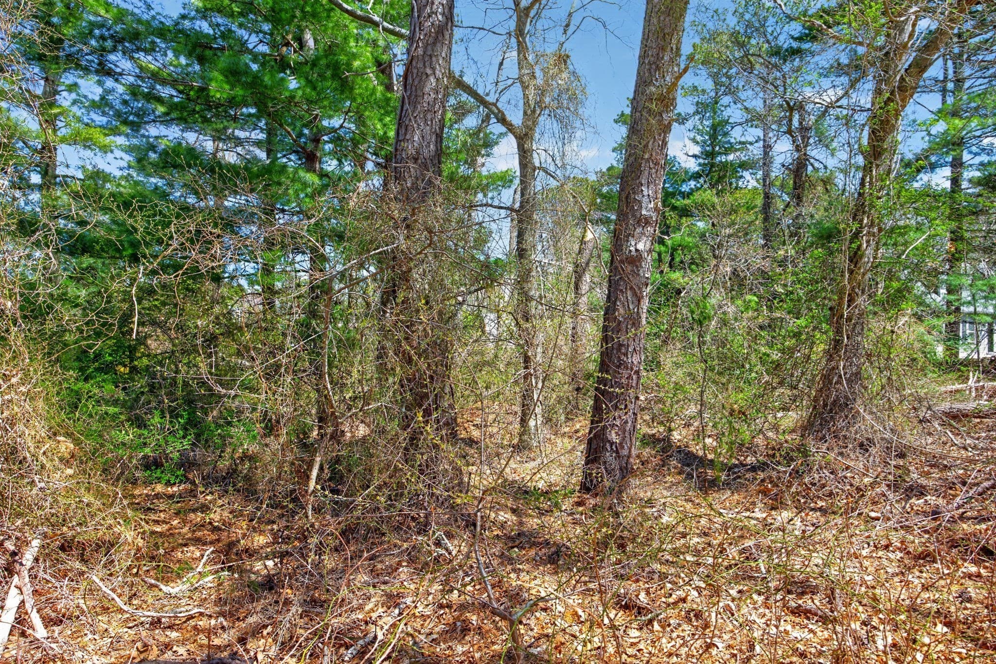 Residential at 3 Lakeview Drive, Sandwich MA 02563, photo 3 of 7