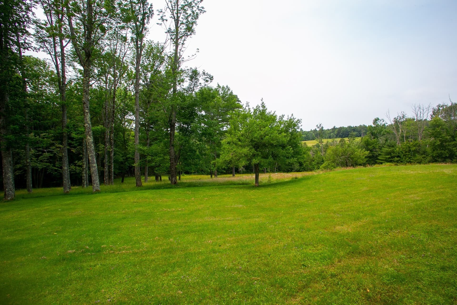 Single Family Residence at 154 Leshure Rd, Rowe MA 01367, photo 27 of 32