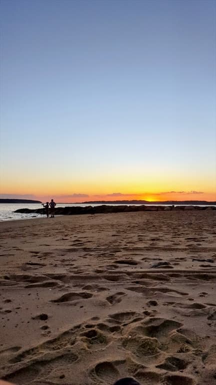 215 Cove View Rd, Wellfleet MA 02667 photo 39