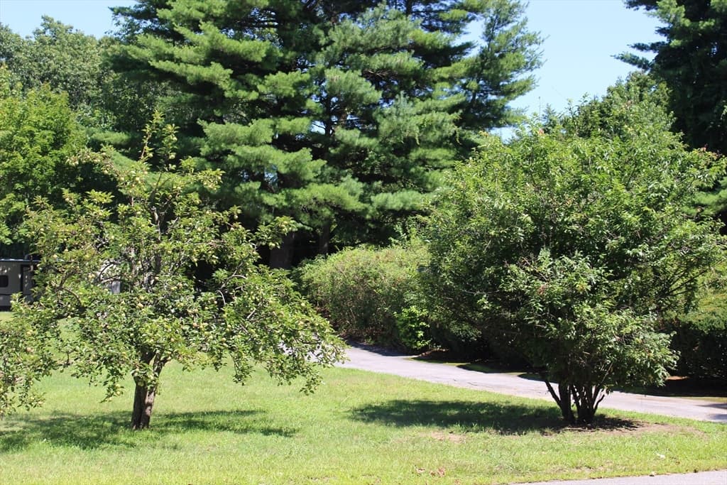 206 Debbie Drive, Leominster MA 01453 photo 15