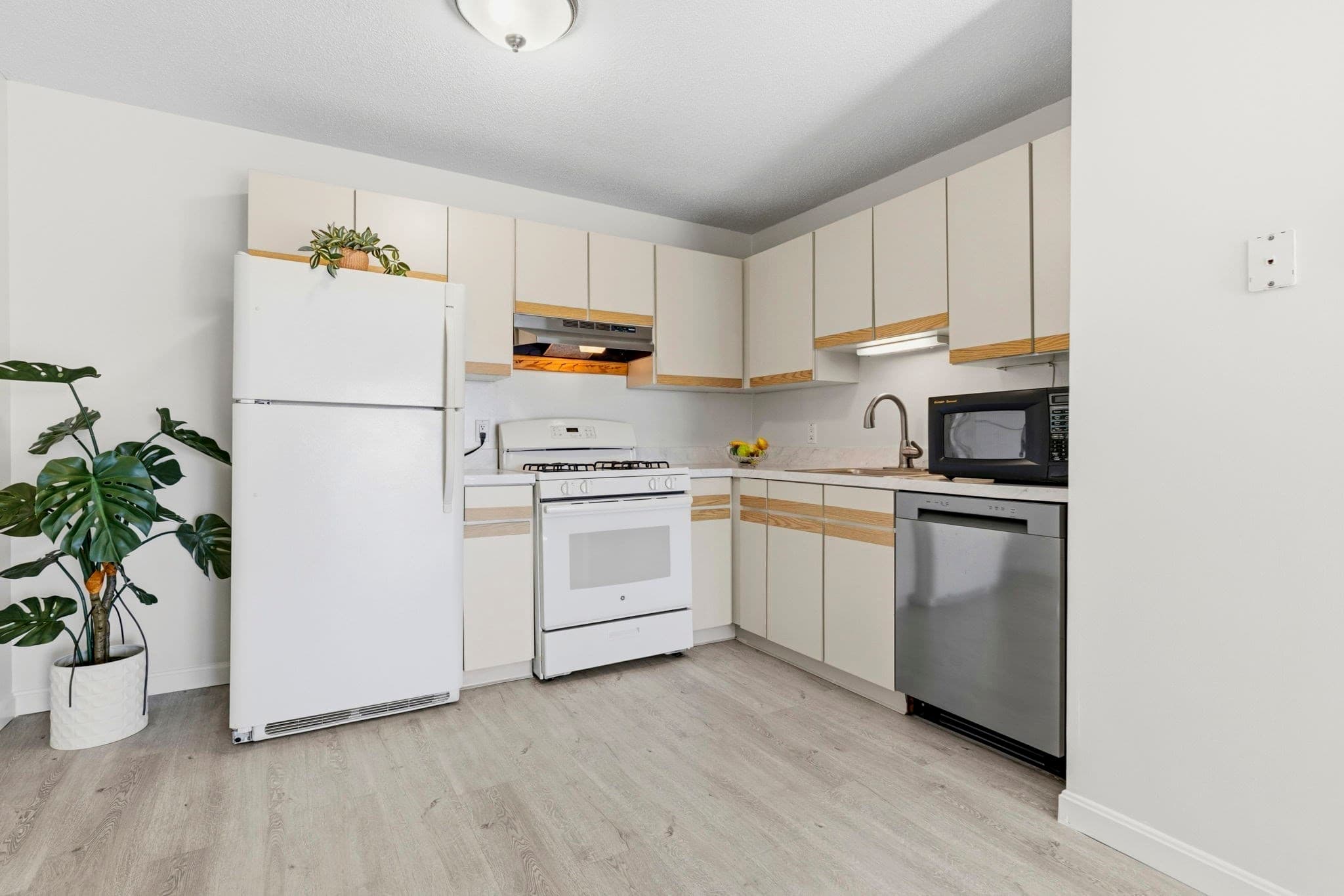 Condominium at 24 Kenmar Drive # 239, Billerica MA 01821, Billerica, photo 5 of 28