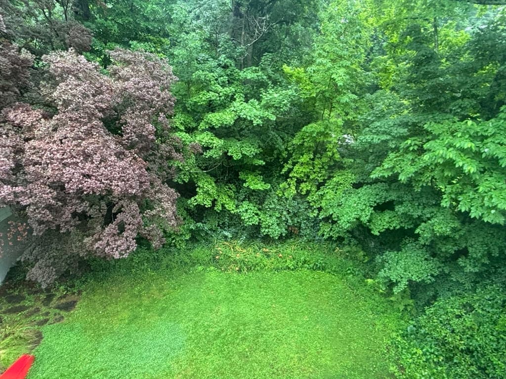 100 Dana, Amherst MA 01002 photo 38