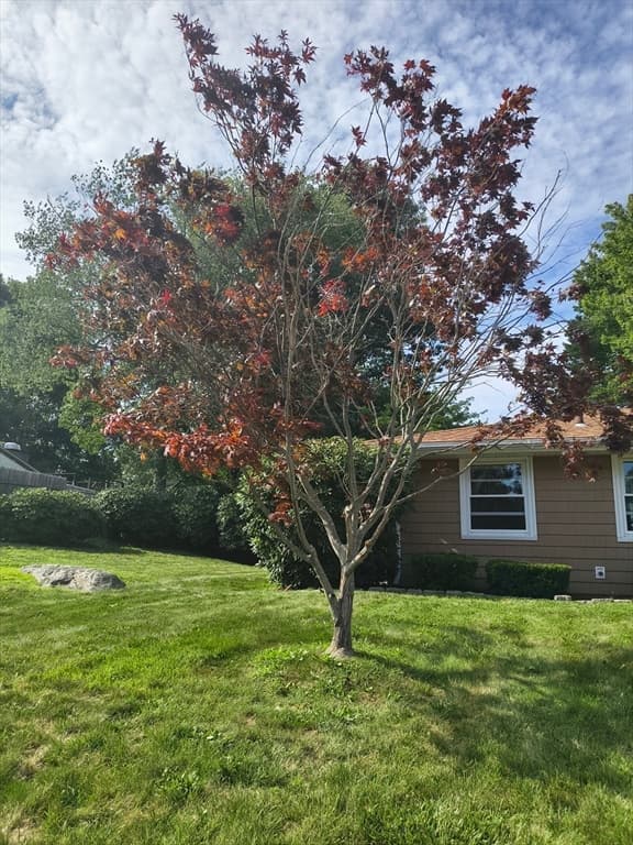 28 Delmar Road, Brockton MA 02302 photo 6