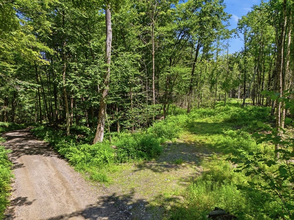 Lot 00 Thayer Hill Road, Worthington MA 01098 photo 2
