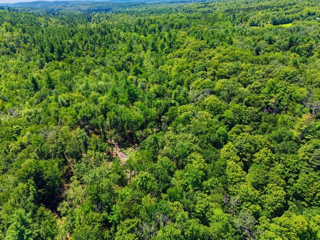Lot 00 Thayer Hill Road, Worthington MA 01098 photo 6