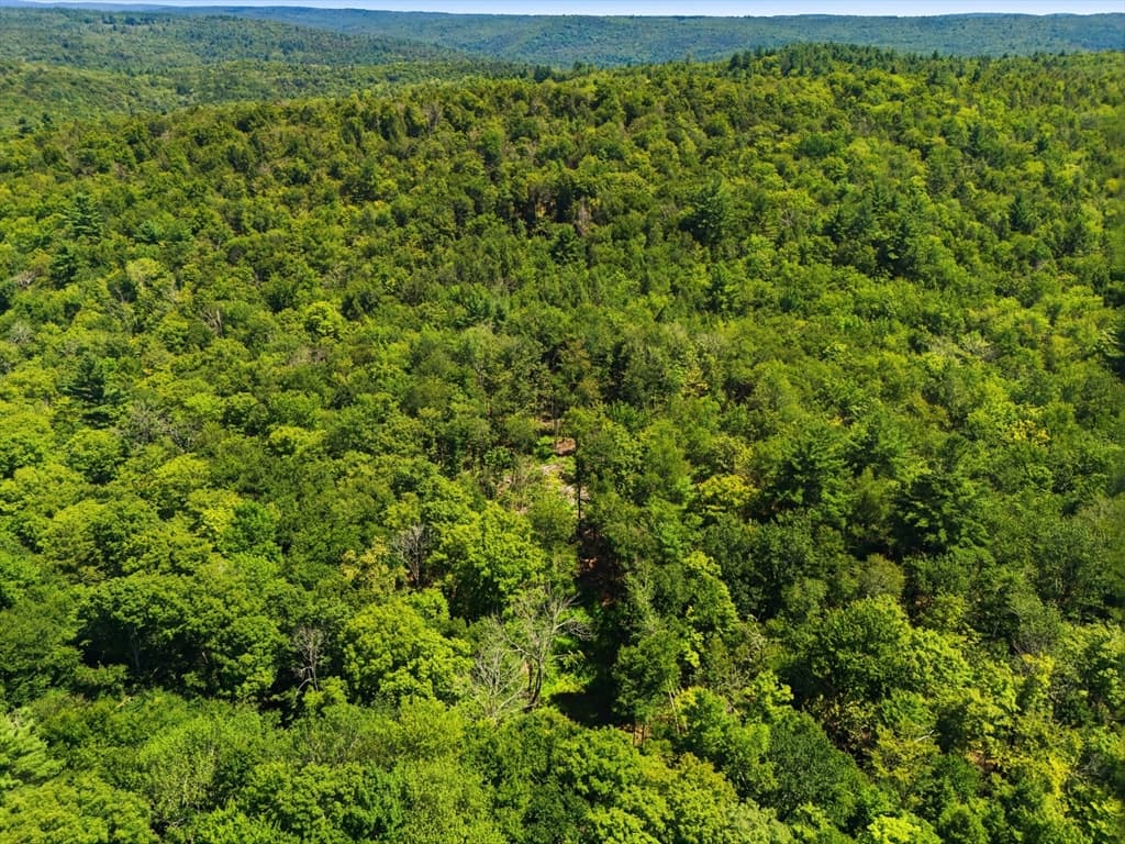 Lot 00 Thayer Hill Road, Worthington MA 01098 photo 13