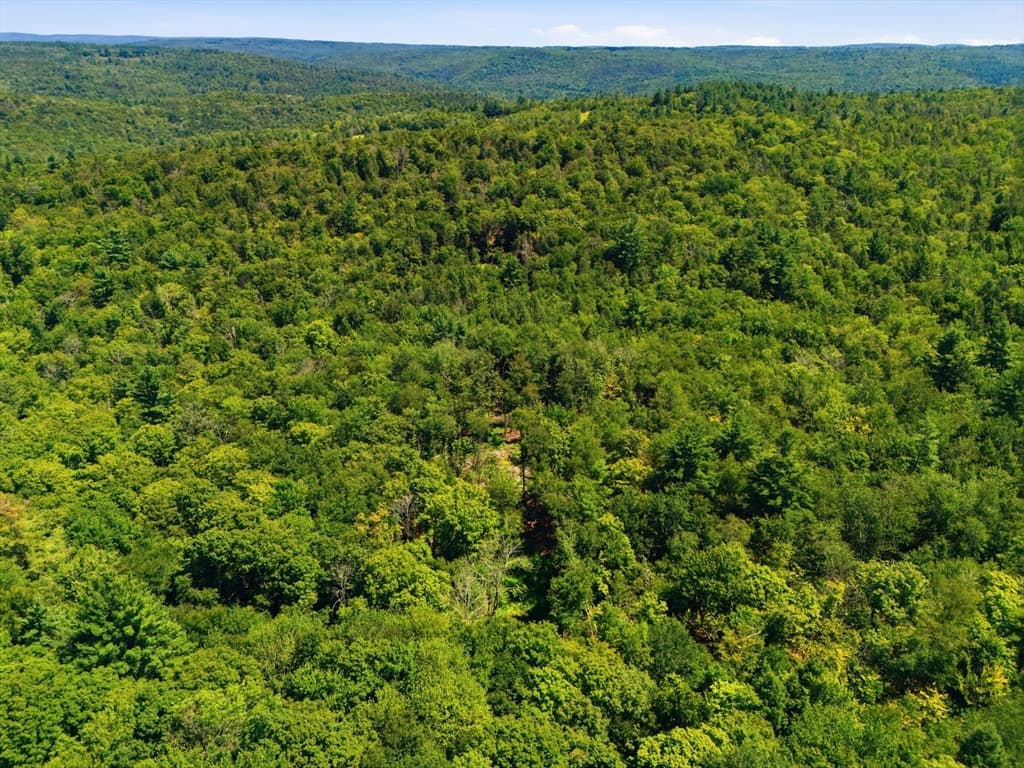 Lot 00 Thayer Hill Road, Worthington MA 01098 photo 12