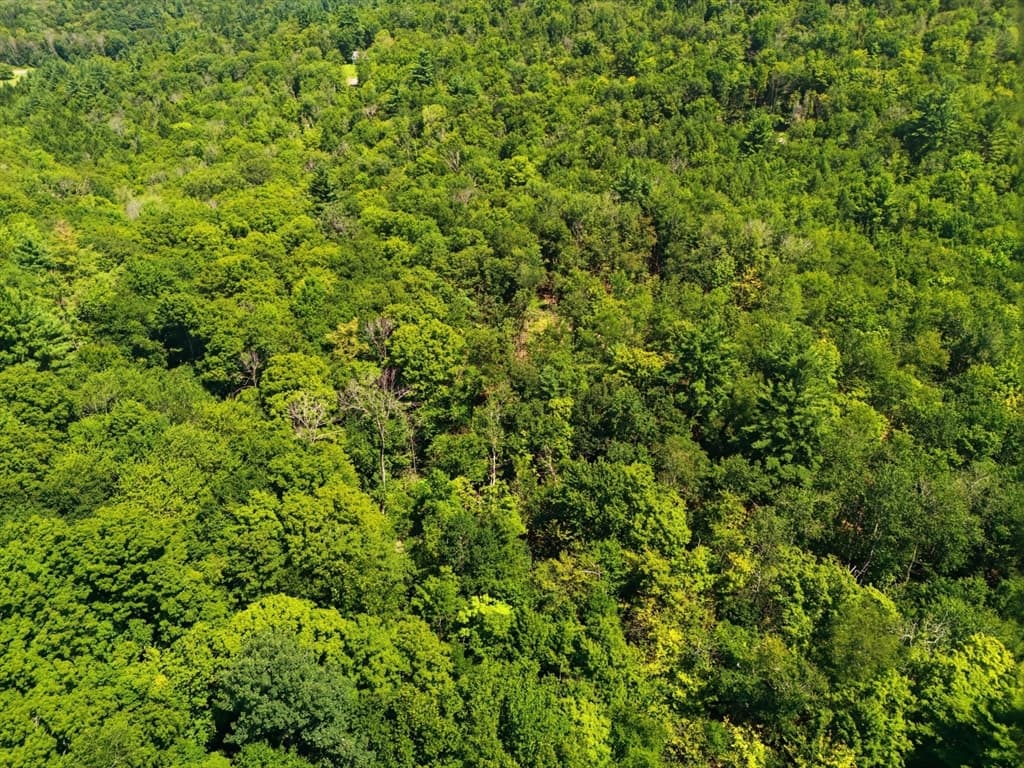 Lot 00 Thayer Hill Road, Worthington MA 01098 photo 7
