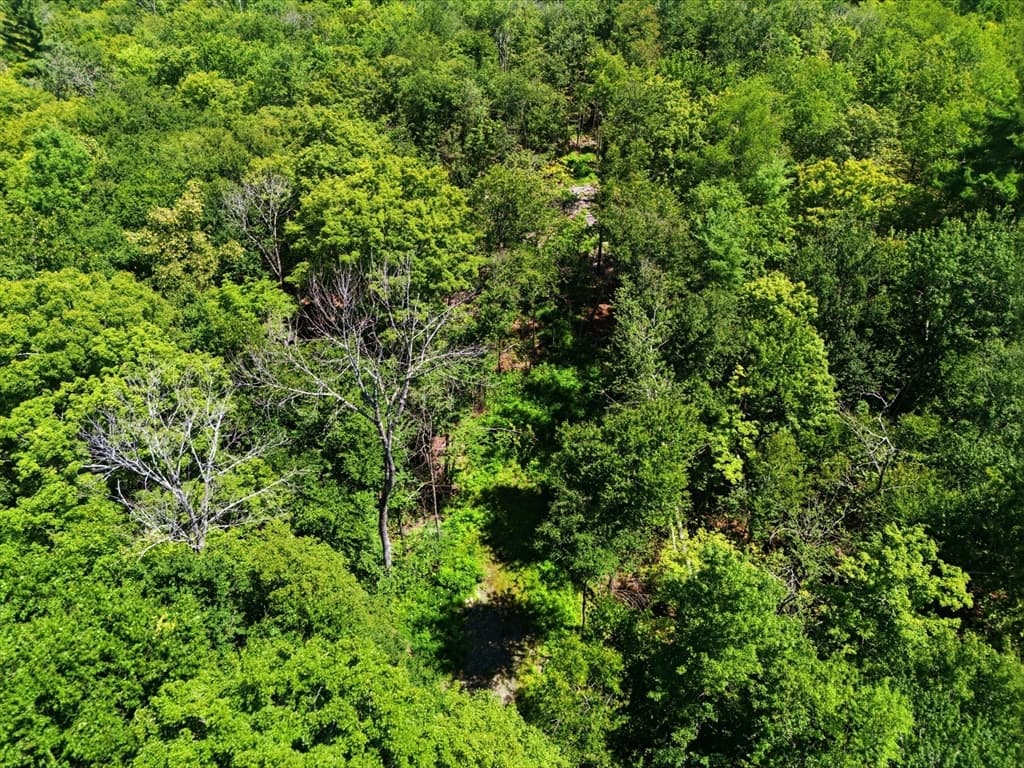 Lot 00 Thayer Hill Road, Worthington MA 01098 photo 5