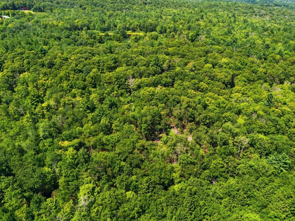 Lot 00 Thayer Hill Road, Worthington MA 01098 photo 9
