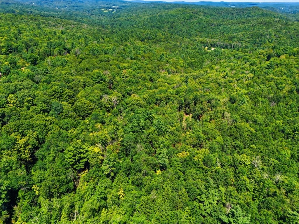 Lot 00 Thayer Hill Road, Worthington MA 01098 photo 10