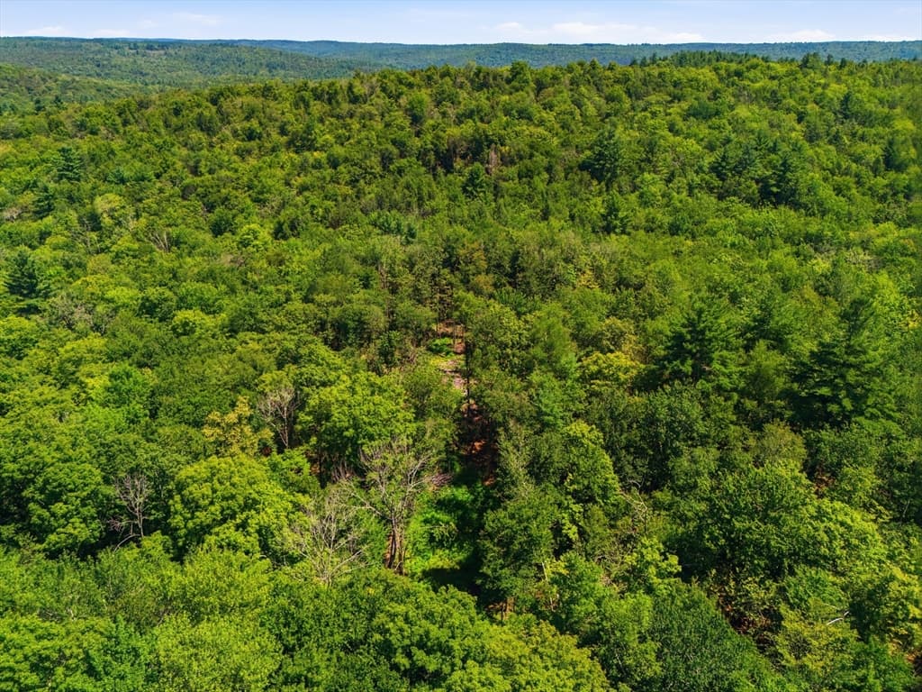 Lot 00 Thayer Hill Road, Worthington MA 01098 photo 14
