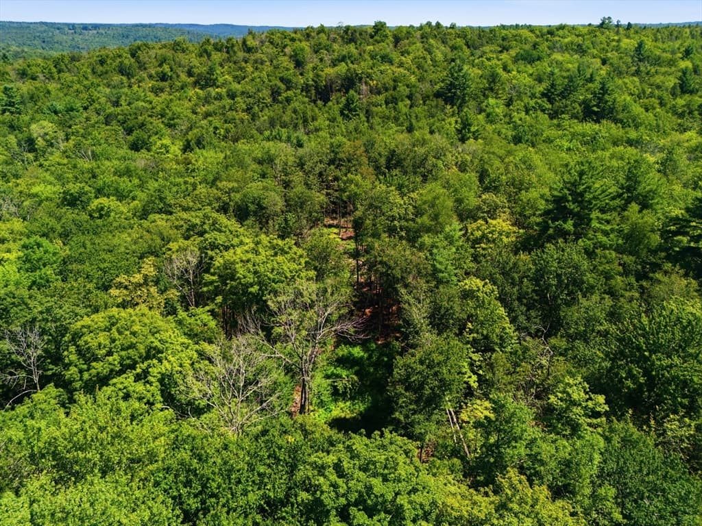 Lot 00 Thayer Hill Road, Worthington MA 01098 photo 11