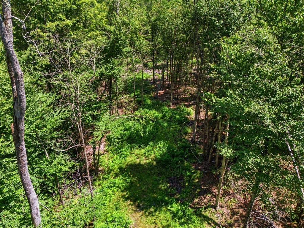 Lot 00 Thayer Hill Road, Worthington MA 01098 photo 4