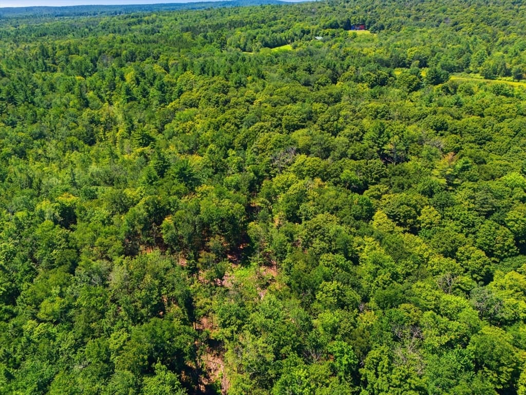 Lot 00 Thayer Hill Road, Worthington MA 01098 photo 8