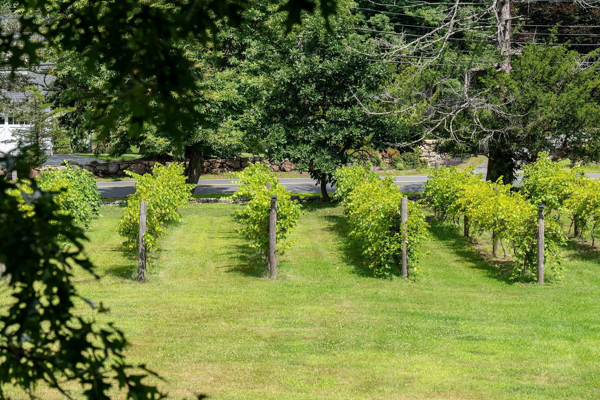 Single Family Residence at 11 Marbleridge Rd, North Andover MA 01845, North Andover, photo 7 of 38