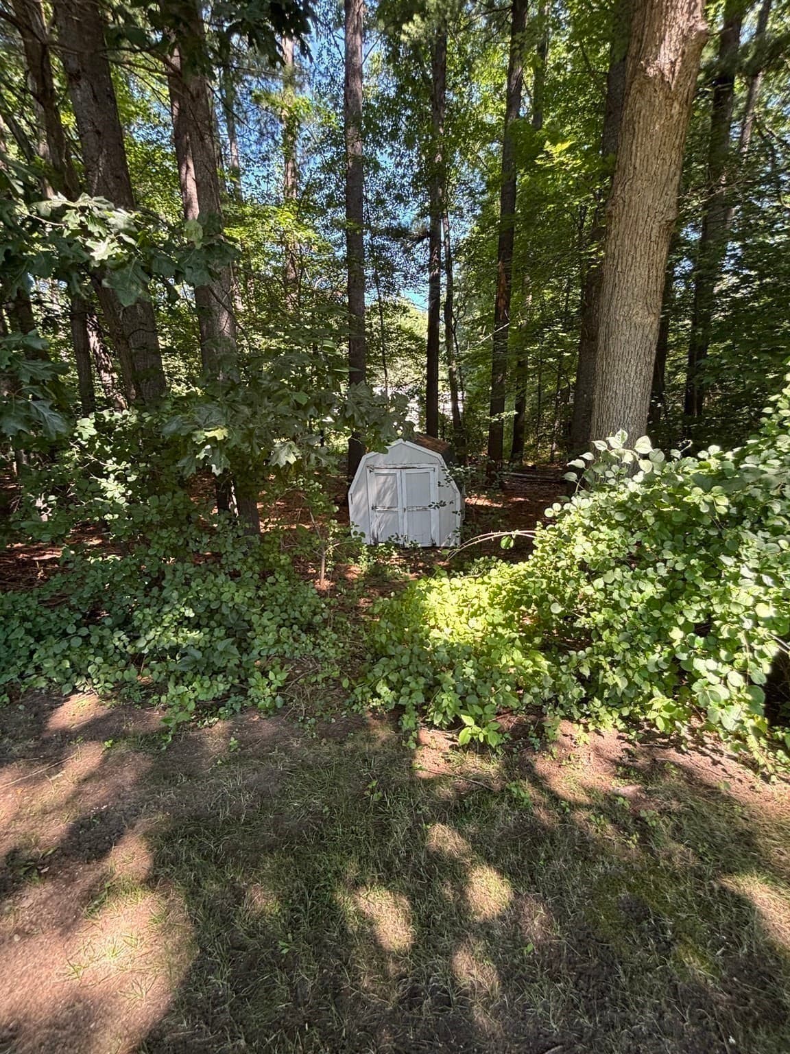 Single Family Residence at 47 Eaton Rd, Framingham MA 01701, Framingham, photo 28 of 40