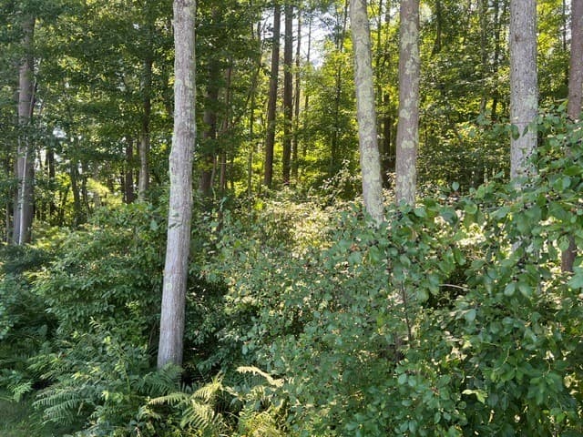 33 Coburn Rd, Windham NH 03087
