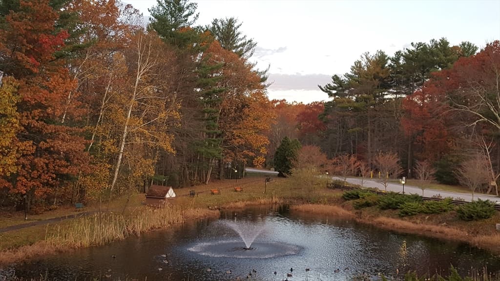 C26 Scotty Hollow Dr # C26, Chelmsford MA 01863 photo 29