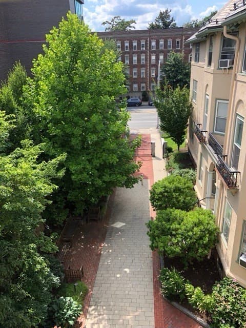 1619 Massachusetts Ave # 36, Cambridge MA 02138