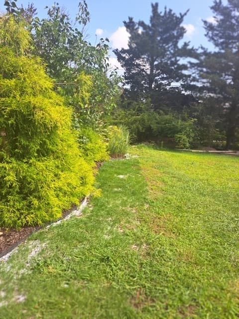 777 New Plainville Rd, New Bedford MA 02747 photo 32