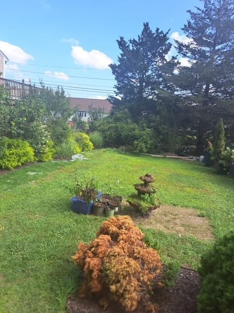 777 New Plainville Rd, New Bedford MA 02747 photo 30