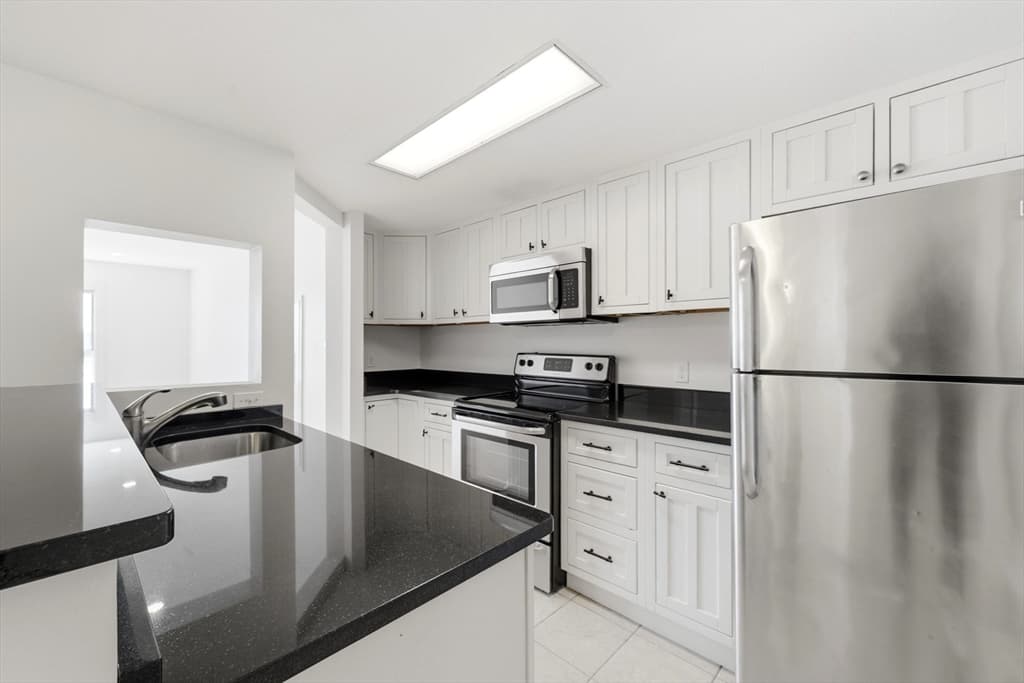 Condominium at 165 Cottage # 701, Chelsea MA 01250, Chelsea, photo 10 of 37