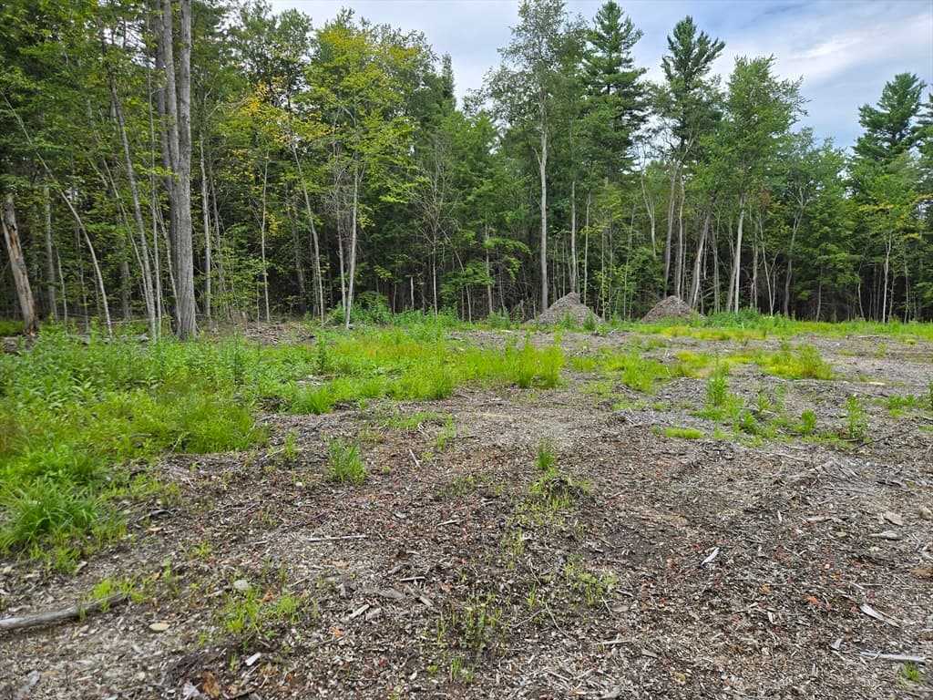 0 Bissell Rd, Chesterfield MA 01096 photo 8