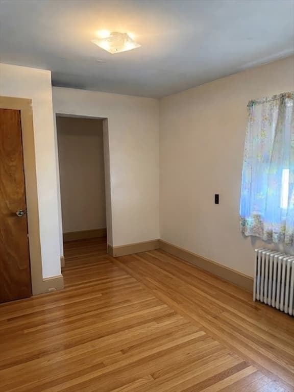 16 Carter St, Everett MA 02149 photo 5