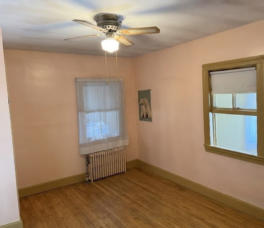 16 Carter St, Everett MA 02149 photo 8
