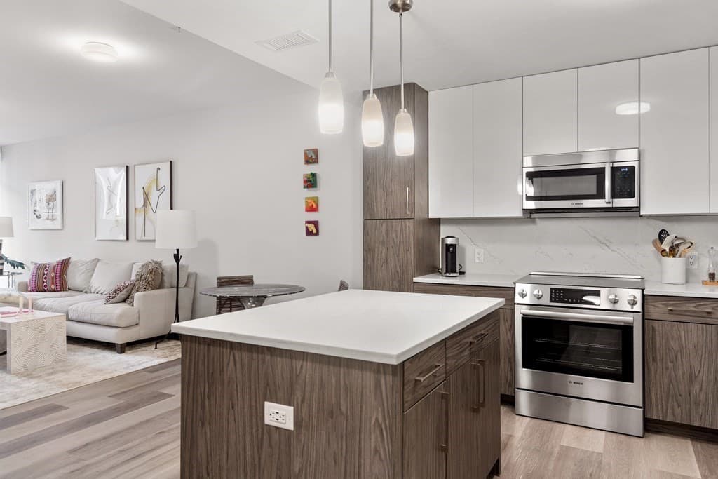 771 Harrison Avenue # 208, Boston MA 02118 photo 4