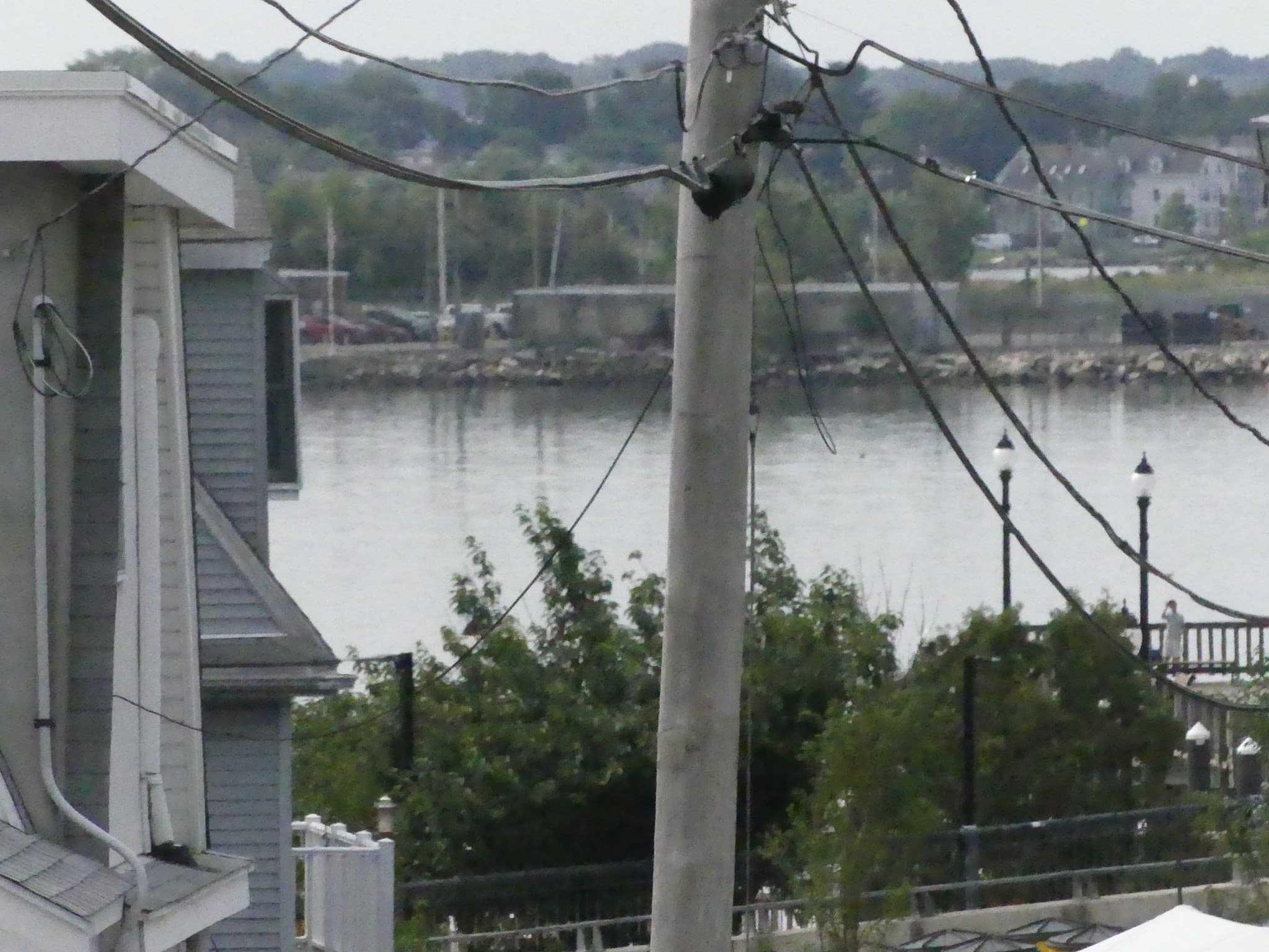 4 Family at 14 Summit Ave, Beverly MA 01915, Beverly, photo 6 of 6