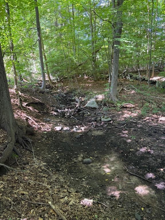Residential at 15 Myrna Rd, Lexington MA 02420, Lexington, photo 6 of 7