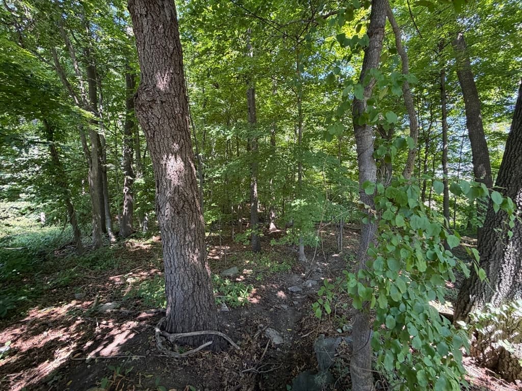 Residential at 15 Myrna Rd, Lexington MA 02420, Lexington, photo 5 of 7