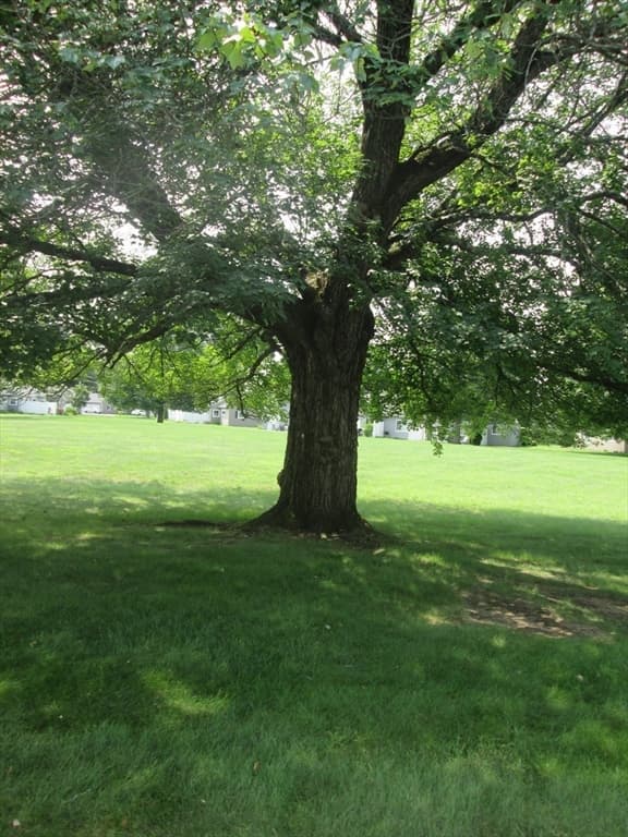 188 Horseshoe Dr # 188, Chicopee MA 01022 photo 21