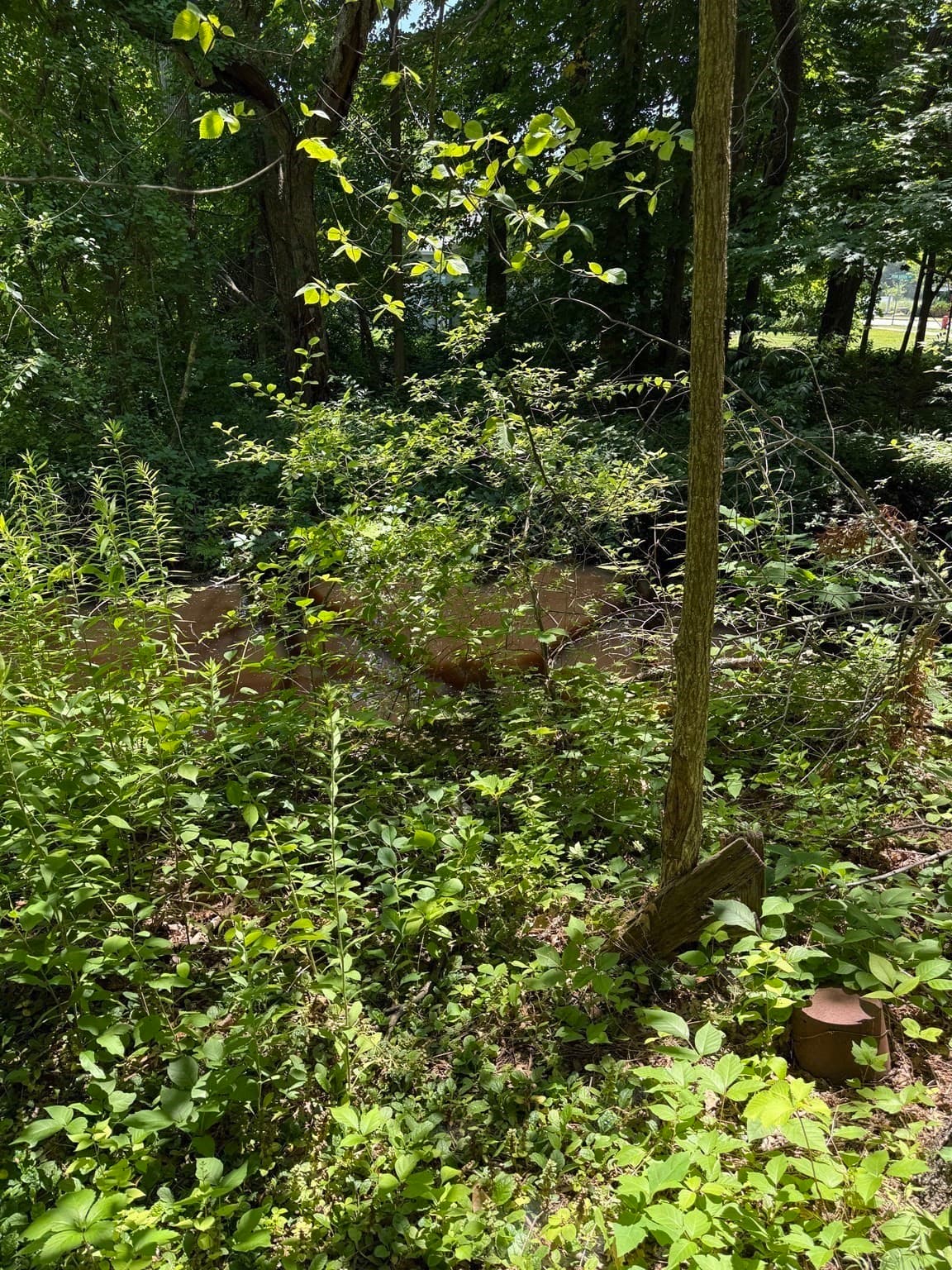 Single Family Residence at 78 East Main St, Georgetown MA 01833, Georgetown, photo 7 of 13