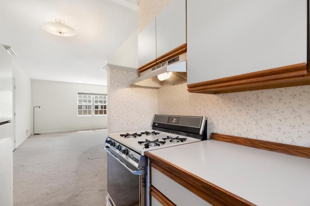 173 Lake Shore Rd # 3, Boston MA 02135 photo 18