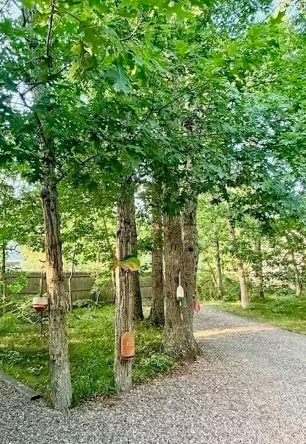 2570 Nauset Rd, Eastham MA 02642 photo 40