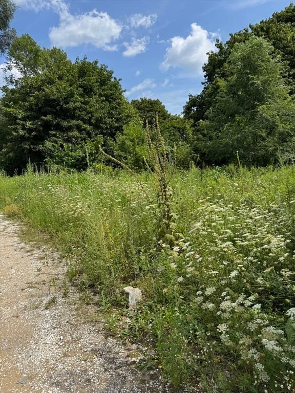 203R Providence St. Bldr. Lot 6, Rehoboth MA 02769 photo 5