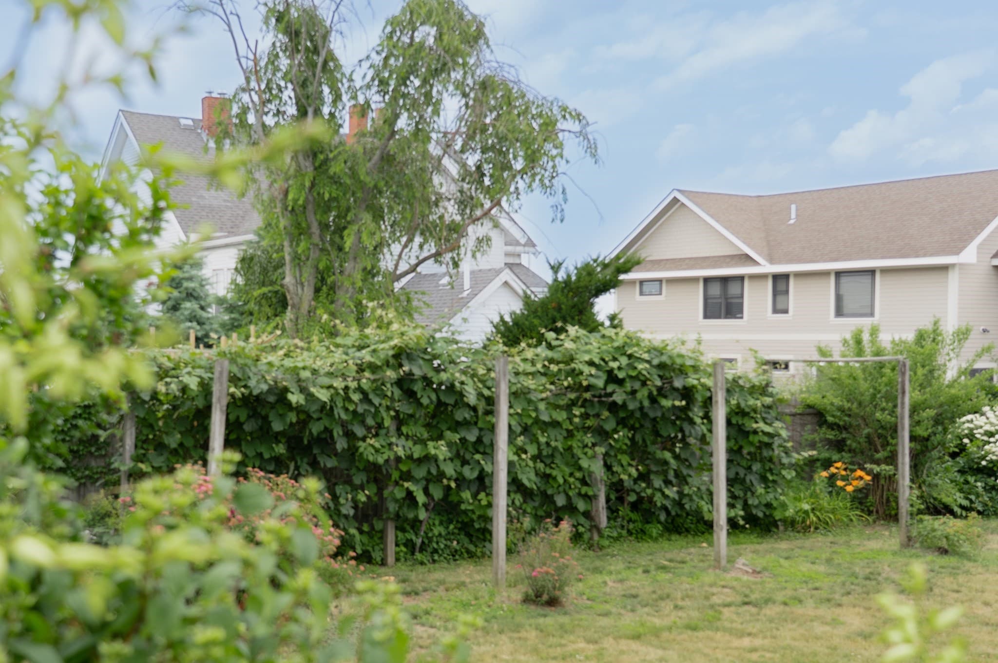 Single Family Residence at 133 Cushman Ave, Revere MA 02151, photo 18 of 18