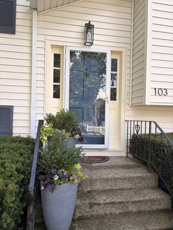 103 Kotlik St, Stoughton MA 02072 photo 3