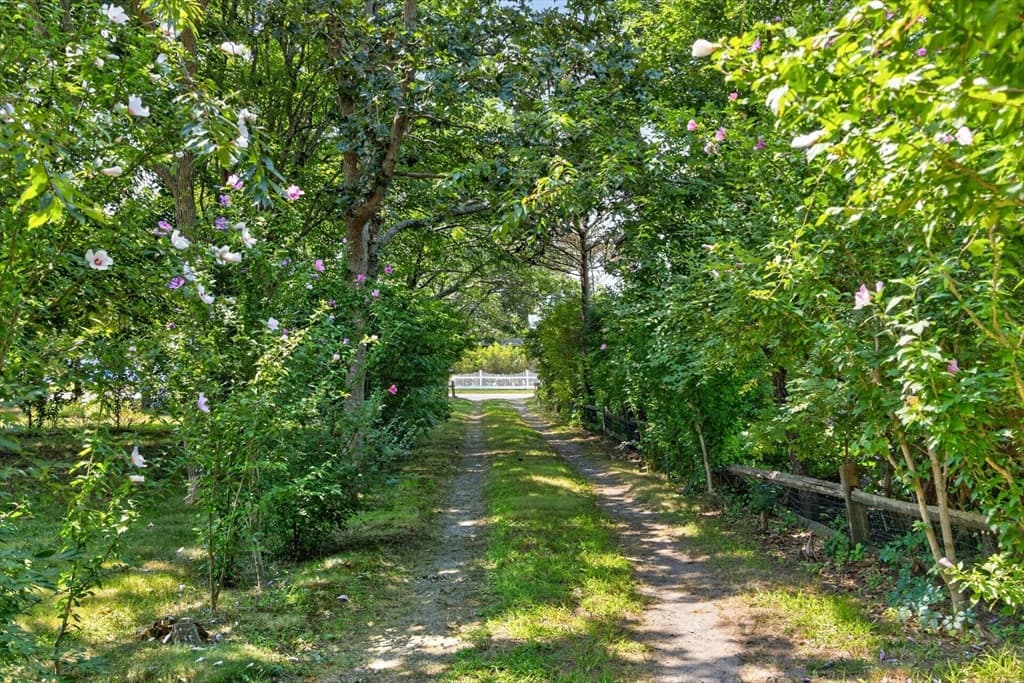 2 Bay View Rd, Dennis MA 02638 photo 30