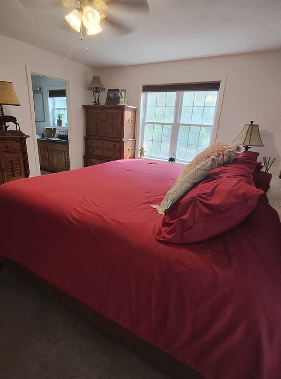 299 River St, Leicester MA 01524 photo 23