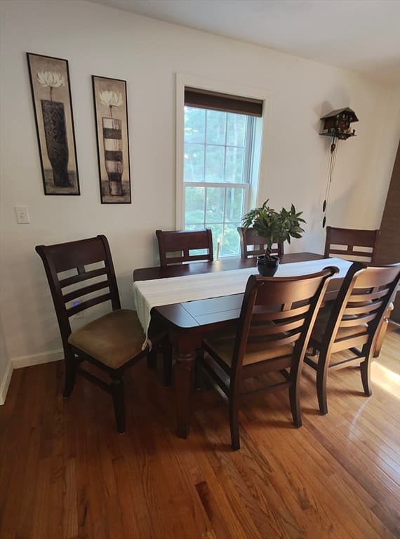 299 River St, Leicester MA 01524 photo 22
