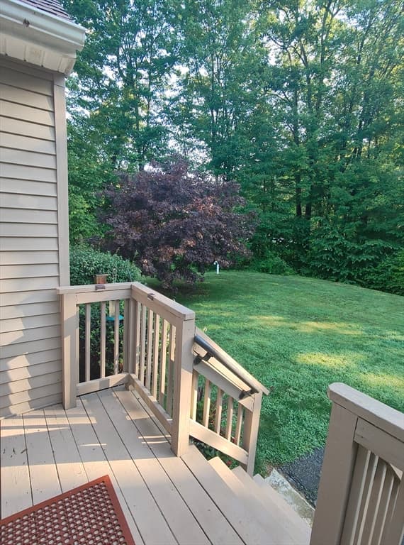 299 River St, Leicester MA 01524 photo 9