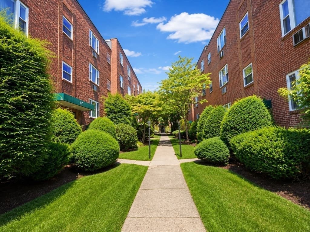 63 Colborne Road # 3, Boston MA 02135 photo 14