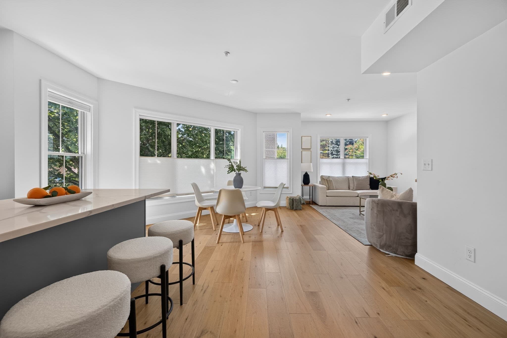 Condominium at 266 Amory St # 2, Boston MA 02130, photo 9 of 22