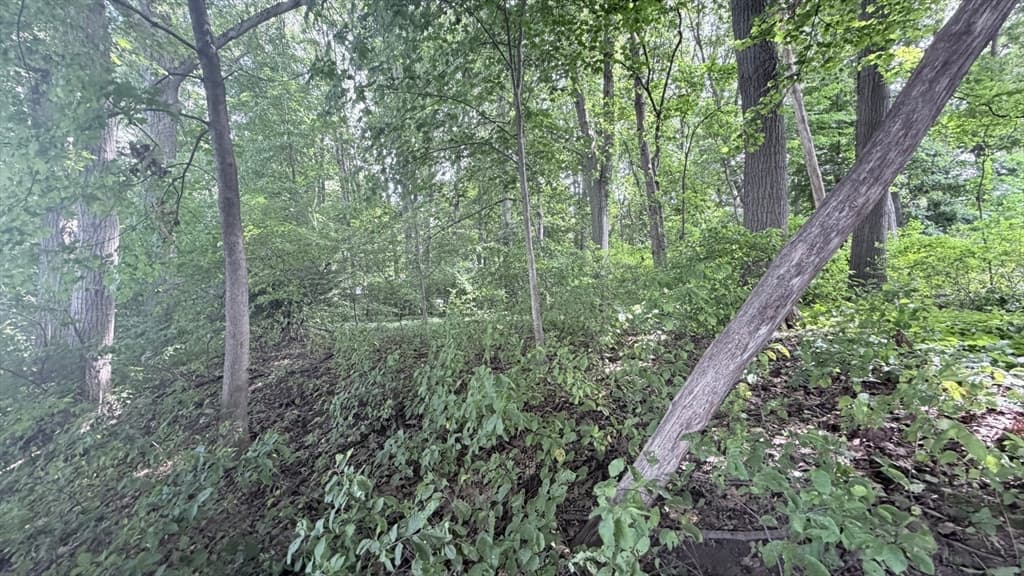 0 Anthony Rd, Longmeadow MA 01106 photo 9